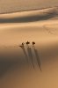 Sandboarding_19
