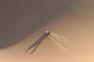 Sandboarding_21